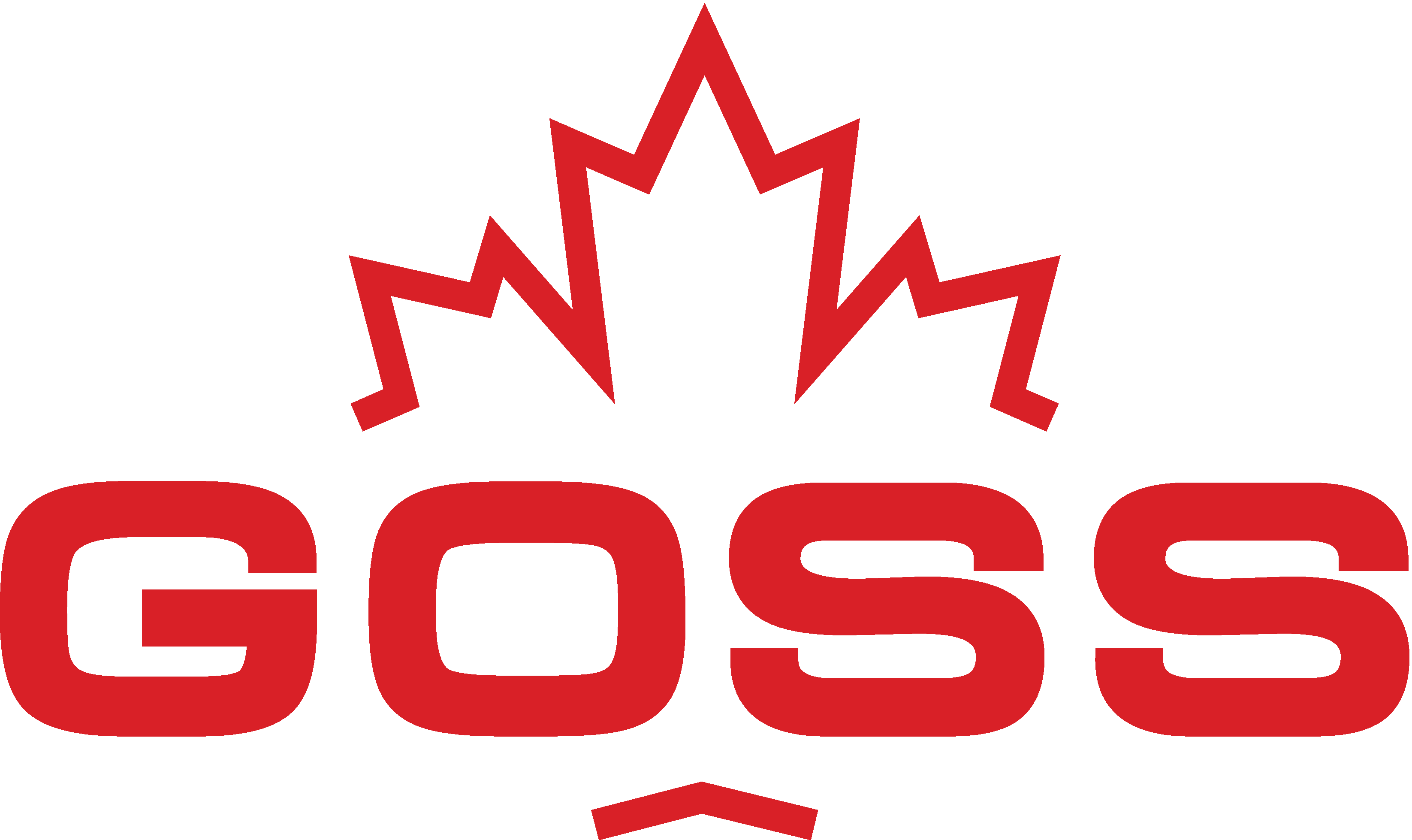 Goss_Auto